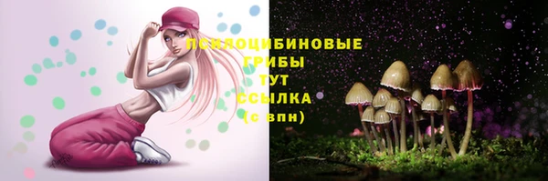 ПСИЛОЦИБИНОВЫЕ ГРИБЫ Новый Уренгой