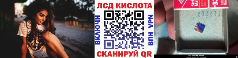 блэк спрут ТОР  дарк нет наркотические препараты  Новоалександровск  Марки NBOMe 1500мкг  даркнет сайт 