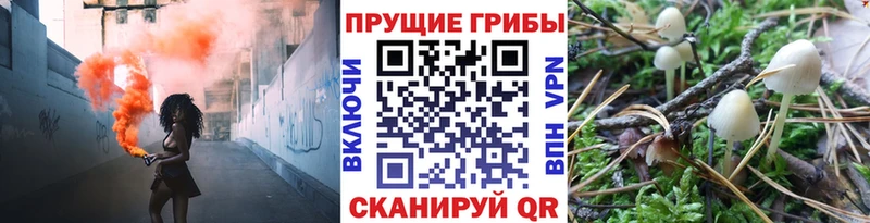 купить  цена  Новоалександровск  Псилоцибиновые грибы Magic Shrooms 